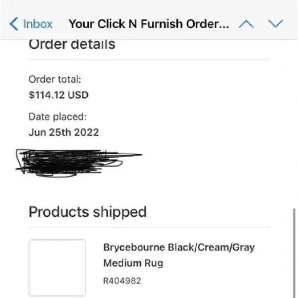 NEW Area Rug - Picture 4 of 6